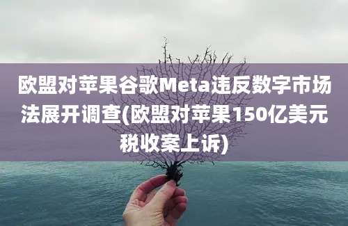 欧盟对苹果谷歌Meta违反数字市场法展开调查(欧盟对苹果150亿美元税收案上诉)