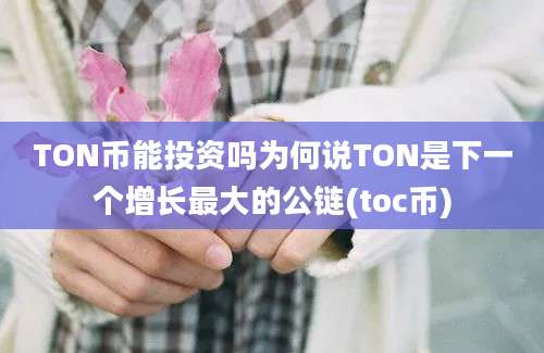 TON币能投资吗为何说TON是下一个增长最大的公链(toc币)