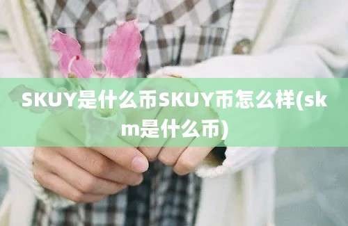 SKUY是什么币SKUY币怎么样(skm是什么币)