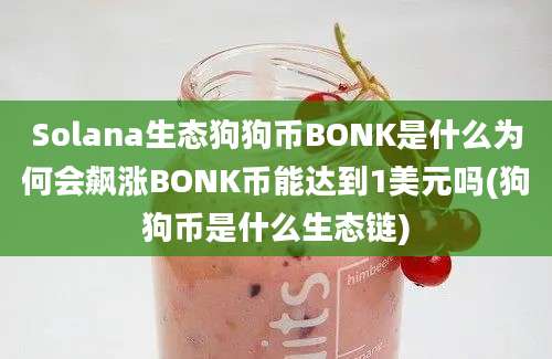 Solana生态狗狗币BONK是什么为何会飙涨BONK币能达到1美元吗(狗狗币是什么生态链)