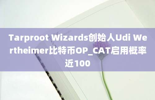 Tarproot Wizards创始人Udi Wertheimer比特币OP_CAT启用概率近100