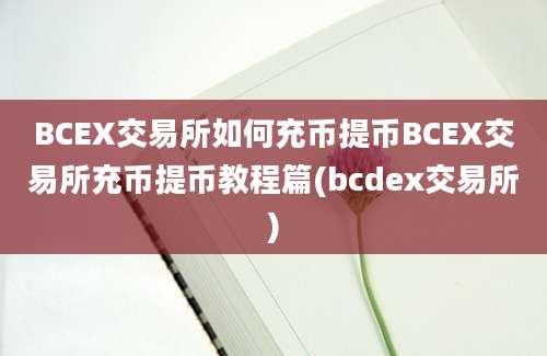 BCEX交易所如何充币提币BCEX交易所充币提币教程篇(bcdex交易所)