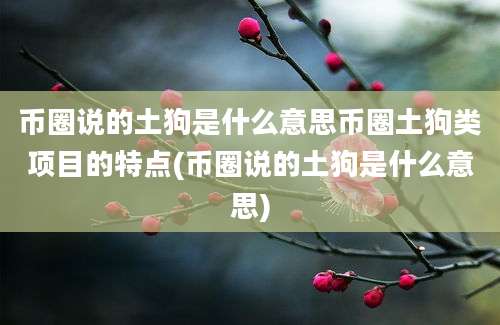 币圈说的土狗是什么意思币圈土狗类项目的特点(币圈说的土狗是什么意思)