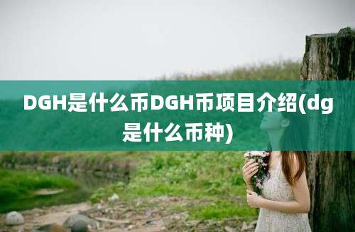 DGH是什么币DGH币项目介绍(dg是什么币种)