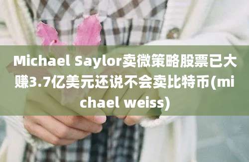 Michael Saylor卖微策略股票已大赚3.7亿美元还说不会卖比特币(michael weiss)