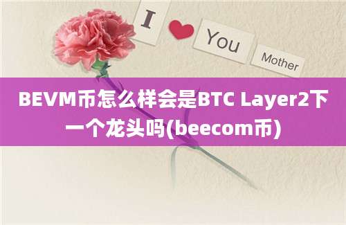 BEVM币怎么样会是BTC Layer2下一个龙头吗(beecom币)