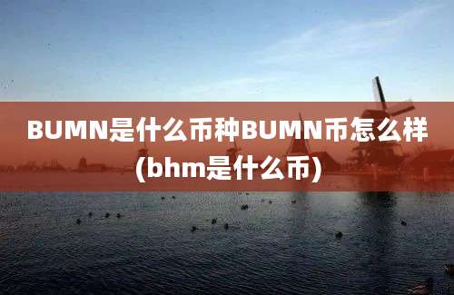 BUMN是什么币种BUMN币怎么样(bhm是什么币)