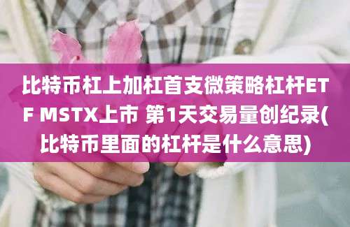 比特币杠上加杠首支微策略杠杆ETF MSTX上市 第1天交易量创纪录(比特币里面的杠杆是什么意思)