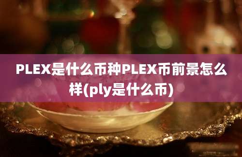 PLEX是什么币种PLEX币前景怎么样(ply是什么币)