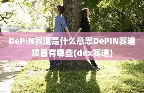 DePIN赛道是什么意思DePIN赛道项目有哪些(dex赛道)