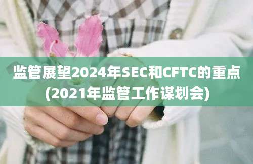 监管展望2024年SEC和CFTC的重点(2021年监管工作谋划会)