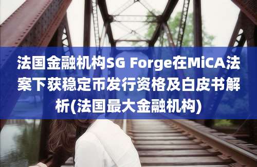 法国金融机构SG Forge在MiCA法案下获稳定币发行资格及白皮书解析(法国最大金融机构)