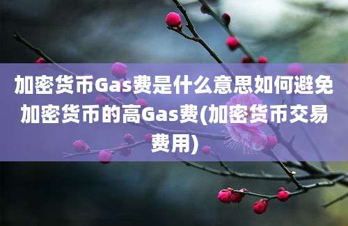 加密货币Gas费是什么意思如何避免加密货币的高Gas费(加密货币交易费用)