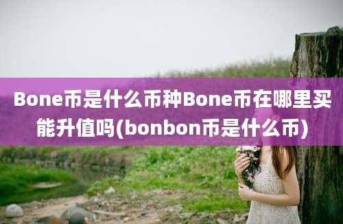 Bone币是什么币种Bone币在哪里买能升值吗(bonbon币是什么币)