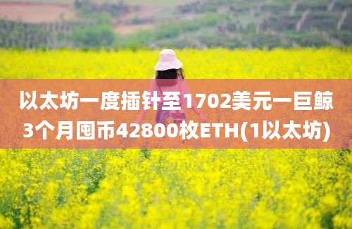 以太坊一度插针至1702美元一巨鲸3个月囤币42800枚ETH(1以太坊)