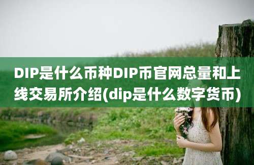 DIP是什么币种DIP币官网总量和上线交易所介绍(dip是什么数字货币)