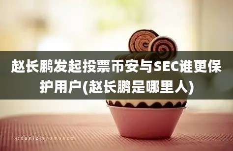 赵长鹏发起投票币安与SEC谁更保护用户(赵长鹏是哪里人)