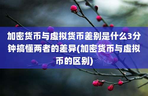 加密货币与虚拟货币差别是什么3分钟搞懂两者的差异(加密货币与虚拟币的区别)