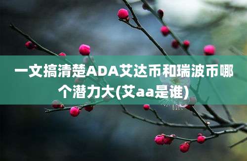 一文搞清楚ADA艾达币和瑞波币哪个潜力大(艾aa是谁)