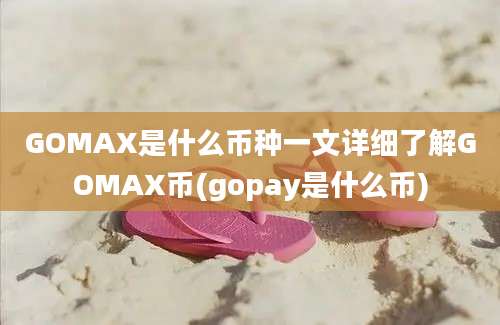 GOMAX是什么币种一文详细了解GOMAX币(gopay是什么币)