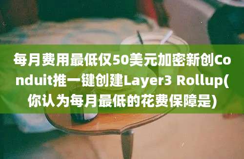 每月费用最低仅50美元加密新创Conduit推一键创建Layer3 Rollup(你认为每月最低的花费保障是)