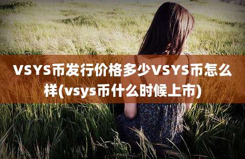 VSYS币发行价格多少VSYS币怎么样(vsys币什么时候上市)