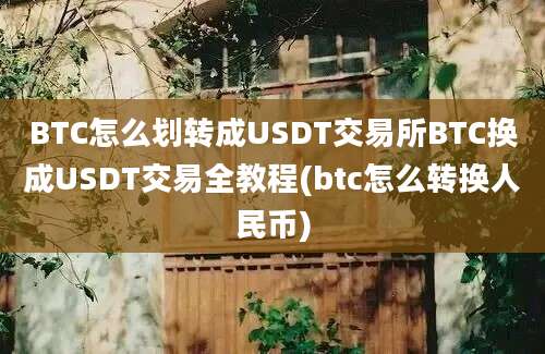 BTC怎么划转成USDT交易所BTC换成USDT交易全教程(btc怎么转换人民币)