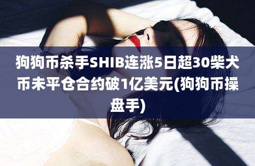 狗狗币杀手SHIB连涨5日超30柴犬币未平仓合约破1亿美元(狗狗币操盘手)