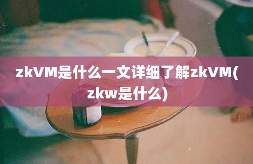 zkVM是什么一文详细了解zkVM(zkw是什么)