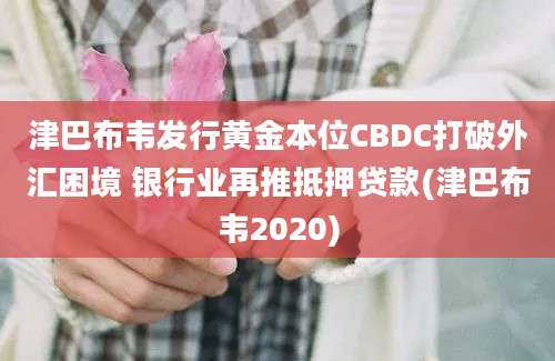 津巴布韦发行黄金本位CBDC打破外汇困境 银行业再推抵押贷款(津巴布韦2020)