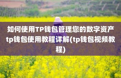 如何使用TP钱包管理您的数字资产tp钱包使用教程详解(tp钱包视频教程)