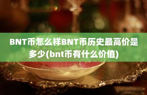 BNT币怎么样BNT币历史最高价是多少(bnt币有什么价值)