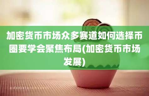 加密货币市场众多赛道如何选择币圈要学会聚焦布局(加密货币市场发展)