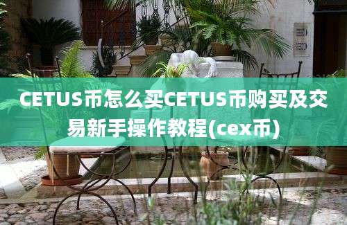 CETUS币怎么买CETUS币购买及交易新手操作教程(cex币)