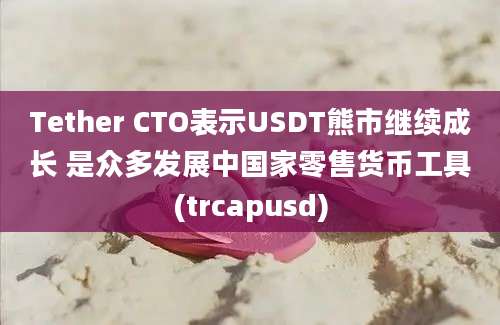 Tether CTO表示USDT熊市继续成长 是众多发展中国家零售货币工具(trcapusd)