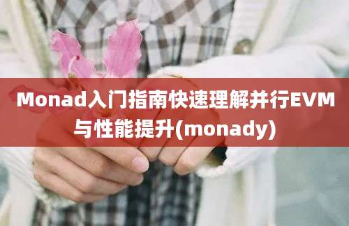 Monad入门指南快速理解并行EVM与性能提升(monady)