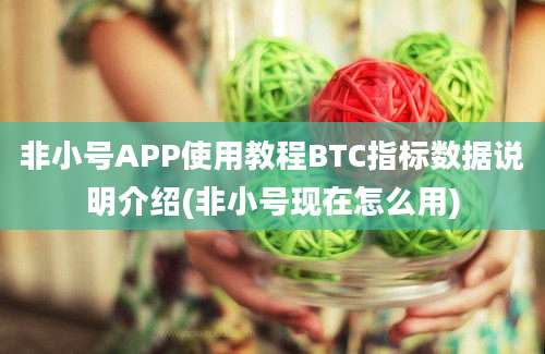 非小号APP使用教程BTC指标数据说明介绍(非小号现在怎么用)