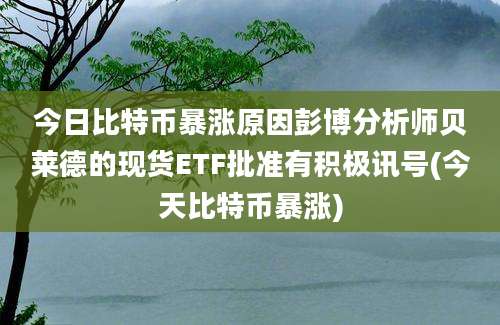 今日比特币暴涨原因彭博分析师贝莱德的现货ETF批准有积极讯号(今天比特币暴涨)