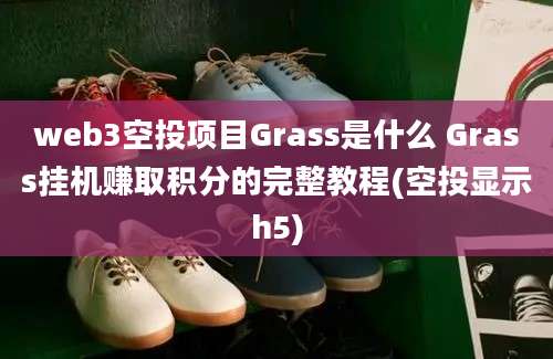 web3空投项目Grass是什么 Grass挂机赚取积分的完整教程(空投显示h5)