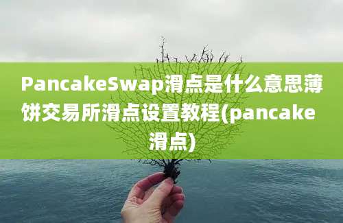 PancakeSwap滑点是什么意思薄饼交易所滑点设置教程(pancake 滑点)