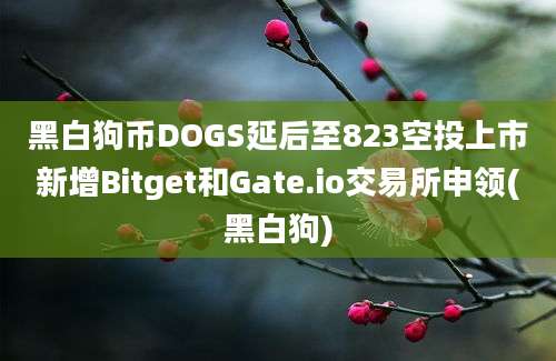 黑白狗币DOGS延后至823空投上市新增Bitget和Gate.io交易所申领(黑白狗)