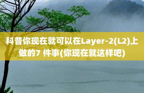 科普你现在就可以在Layer-2(L2)上做的7 件事(你现在就这样吧)