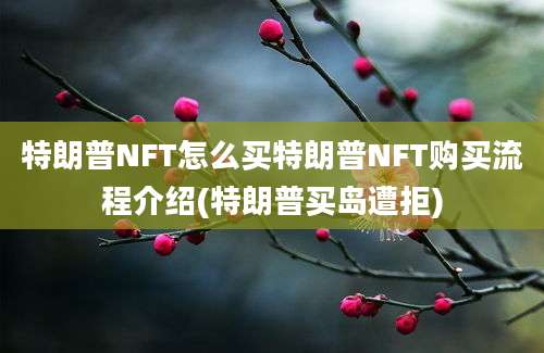 特朗普NFT怎么买特朗普NFT购买流程介绍(特朗普买岛遭拒)