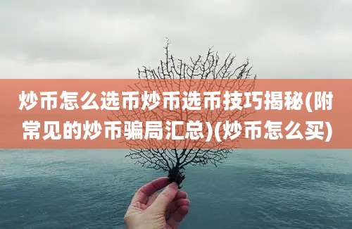 炒币怎么选币炒币选币技巧揭秘(附常见的炒币骗局汇总)(炒币怎么买)