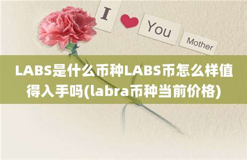 LABS是什么币种LABS币怎么样值得入手吗(labra币种当前价格)