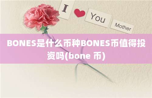 BONES是什么币种BONES币值得投资吗(bone 币)