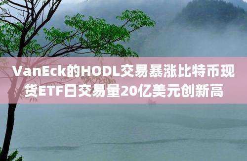 VanEck的HODL交易暴涨比特币现货ETF日交易量20亿美元创新高