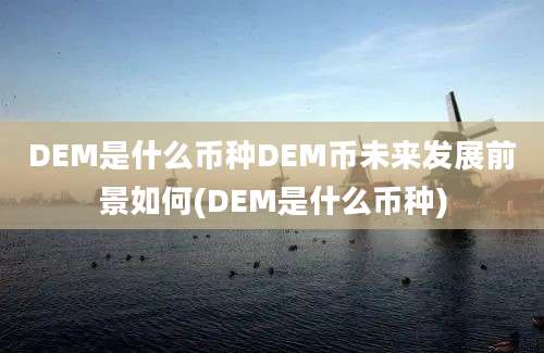 DEM是什么币种DEM币未来发展前景如何(DEM是什么币种)