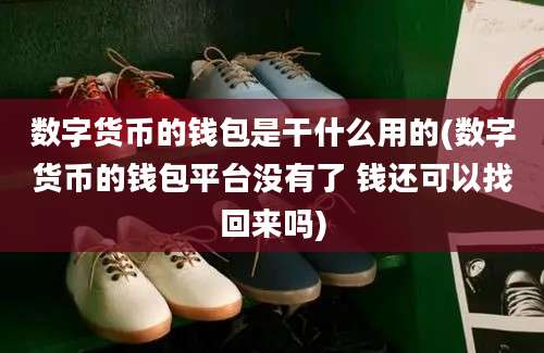 数字货币的钱包是干什么用的(数字货币的钱包平台没有了 钱还可以找回来吗)