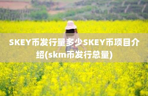 SKEY币发行量多少SKEY币项目介绍(skm币发行总量)